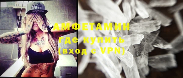 индика Медвежьегорск