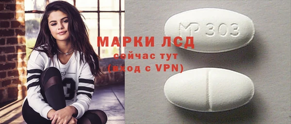 ПСИЛОЦИБИНОВЫЕ ГРИБЫ Магас