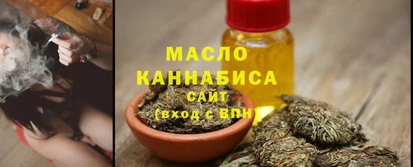 индика Медвежьегорск