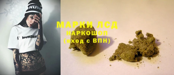 ПСИЛОЦИБИНОВЫЕ ГРИБЫ Магас