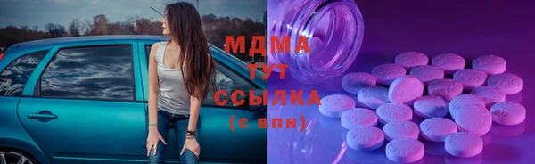индика Медвежьегорск