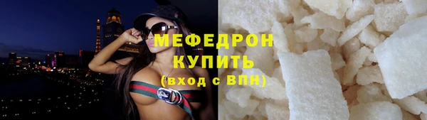 индика Медвежьегорск