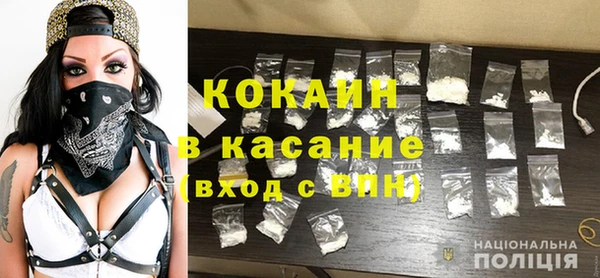 индика Медвежьегорск