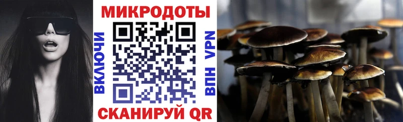 Купить где  Константиновск  Галлюциногенные грибы мицелий 